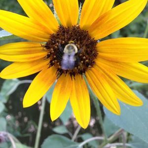 Meet your Posher, Tina